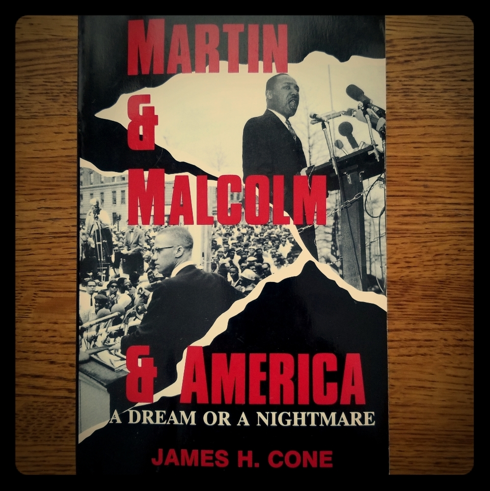 Martin & Malcolm & America textbook